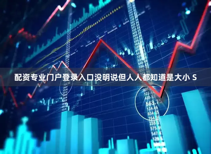 配资专业门户登录入口没明说但人人都知道是大小 S