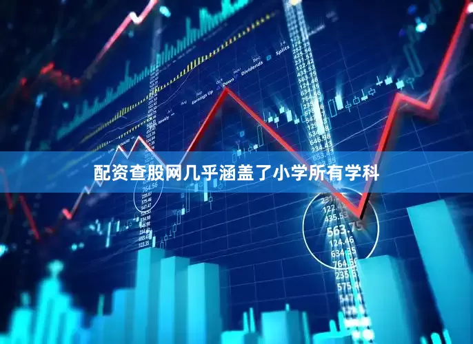 配资查股网几乎涵盖了小学所有学科