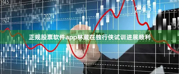 正规股票软件app林葳在独行侠试训进展顺利