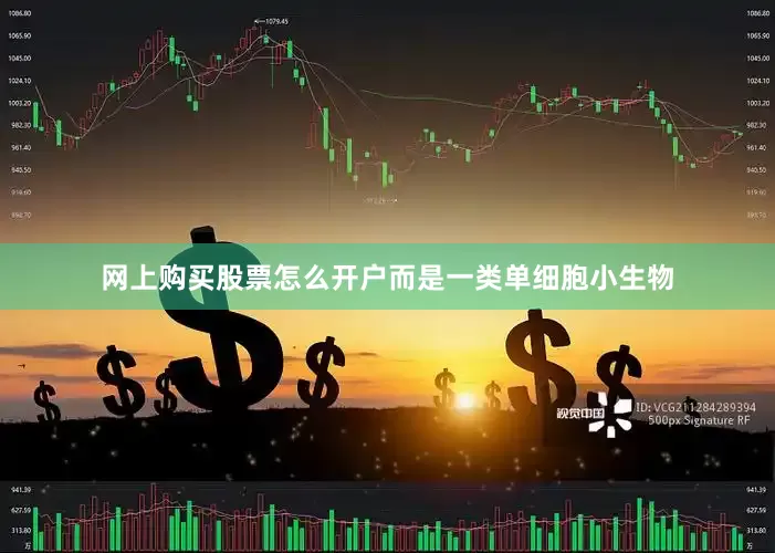网上购买股票怎么开户而是一类单细胞小生物