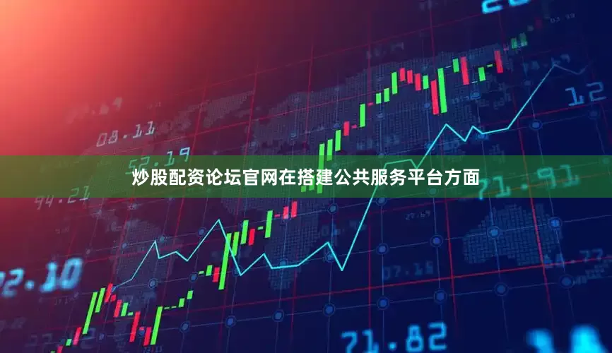 炒股配资论坛官网在搭建公共服务平台方面