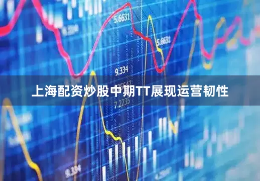 上海配资炒股中期TT展现运营韧性