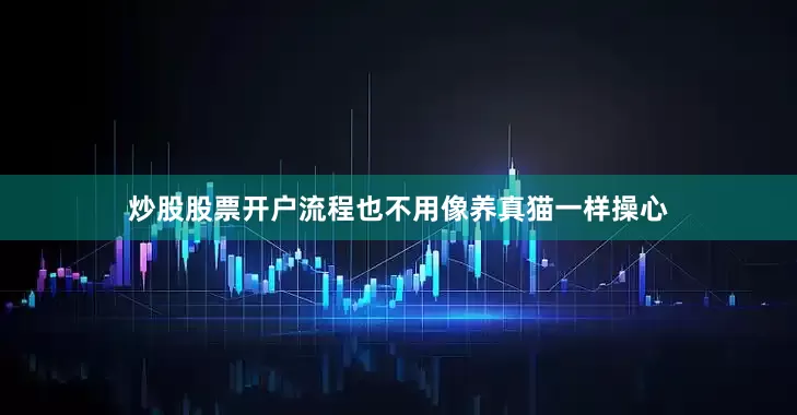 炒股股票开户流程也不用像养真猫一样操心
