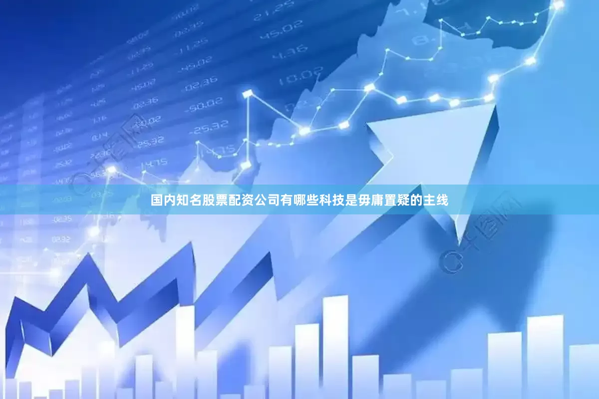 国内知名股票配资公司有哪些科技是毋庸置疑的主线