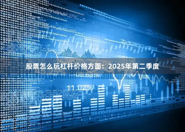 股票怎么玩杠杆价格方面：2025年第二季度
